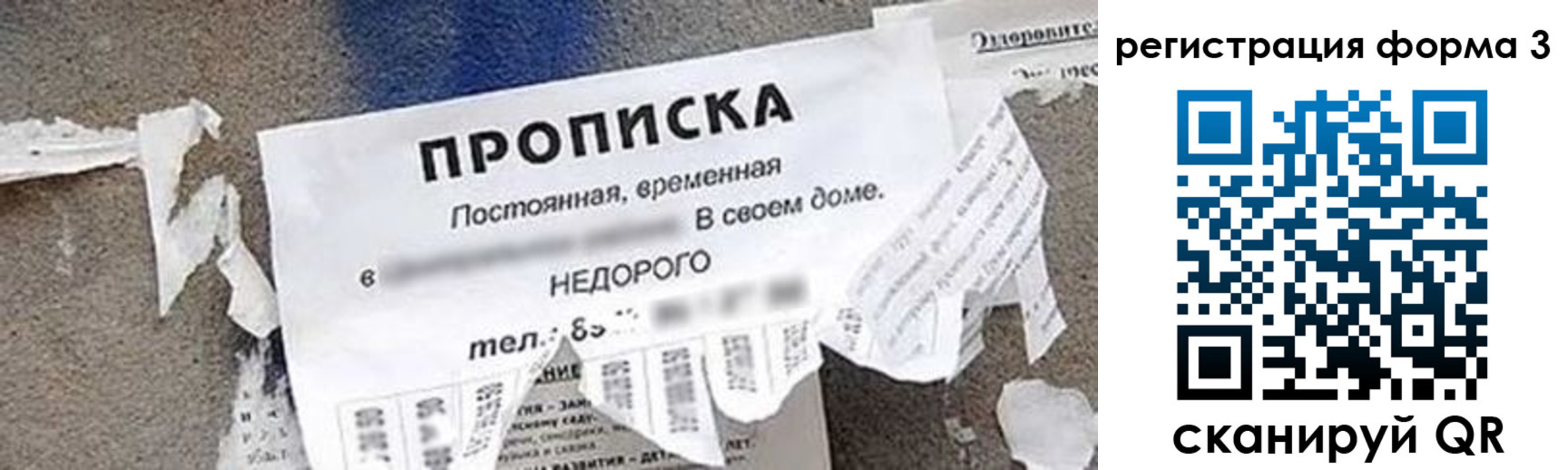 прописка 2025 в Ростове